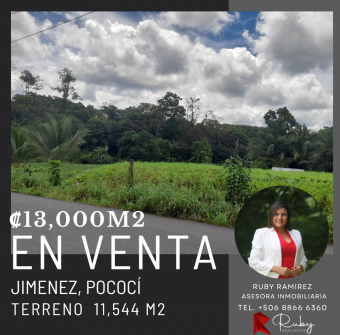 ¡Terreno en Venta 11,544 M2 en Jiménez, Pococí!