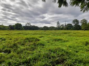 Finca Ganadera en La Colonia de Guápiles - 12 Hectáreas con Excelente Ubicación