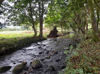 Finca Ganadera en La Colonia de Guápiles - 12 Hectáreas con Excelente Ubicación