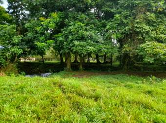 Finca Ganadera en La Colonia de Guápiles - 12 Hectáreas con Excelente Ubicación