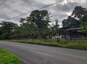 Finca Ganadera en La Colonia de Guápiles - 12 Hectáreas con Excelente Ubicación