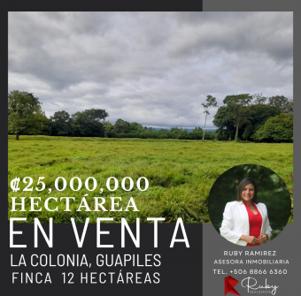 Finca Ganadera en La Colonia de Guápiles - 12 Hectáreas con Excelente Ubicación