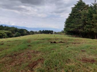 Se vende amplia finca con lote de mas de 286,000m2 en San José de la Montaña 23-2563