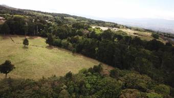 Se vende amplia finca con lote de mas de 286,000m2 en San José de la Montaña 23-2563