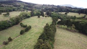 Se vende amplia finca con lote de mas de 286,000m2 en San José de la Montaña 23-2563