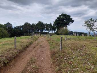 Se vende amplia finca con lote de mas de 286,000m2 en San José de la Montaña 23-2563