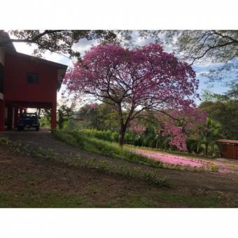 VENTA DE CASA AMUEBLADA, ALAJUELA OROTINA, CONDOMINIO CASA DE CAMPO