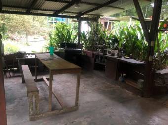 Venta de Finca en Guápiles, Limón. RAH 25-166