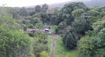 Venta de Finca en Guápiles, Limón. RAH 25-166