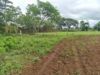 Terreno en Venta en  Upala, Alajuela