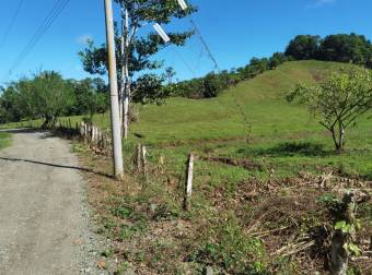 Se Vende finca de 77 hectáreas para ganadería 