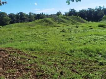 Se Vende finca de 77 hectáreas para ganadería 