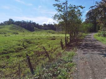 Se Vende finca de 77 hectáreas para ganadería 