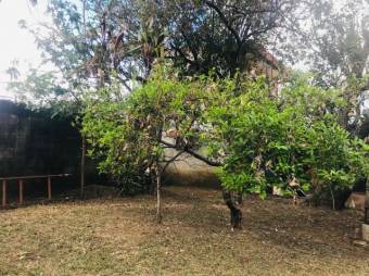 Se vende propiedad con amplio terreno en San Pedro Heredia A24-1253