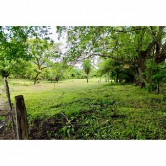 VENTA DE LOTE DE PLAYA, PUNTARENAS, JACÓ, BAJAMAR  