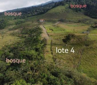 Venta de Hermoso Lote en San Carlos, Alajuela. RAH 24-1481