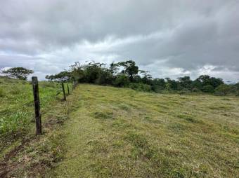 Venta de Hermoso Lote en San Carlos, Alajuela. RAH 24-1481