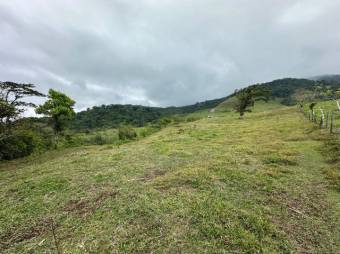 Venta de Hermoso Lote en San Carlos, Alajuela. RAH 24-1481