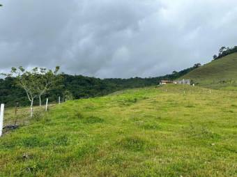 Venta de Lote en San Carlos, Alajuela. RAH 24-1488