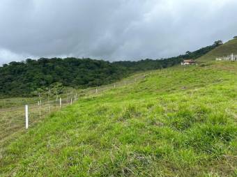 Venta de Lote en San Carlos, Alajuela. RAH 24-1488