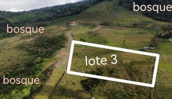 Venta de Lote en San Carlos, Alajuela. RAH 24-1483