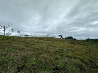 Venta de Lote en San Carlos, Alajuela. RAH 24-1483