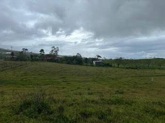 Venta de Lote en San Carlos, Alajuela. RAH 24-1492