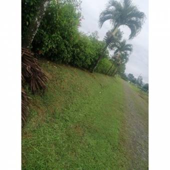 VENTA DE LOTE RESIDENCIAL Y AGRICOLA, LIMON, POCOCI, GUAPILES  