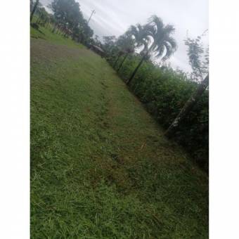 VENTA DE LOTE RESIDENCIAL Y AGRICOLA, LIMON, POCOCI, GUAPILES  