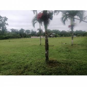 VENTA DE LOTE RESIDENCIAL Y AGRICOLA, LIMON, POCOCI, GUAPILES  