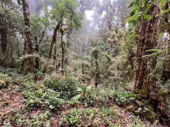 Venta de Lote en El Guarco, Cartago. RAH 25-201