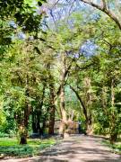 Apartment for rent near the sea, Potrero