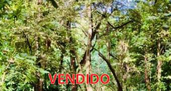 Apartment for rent near the sea, Potrero