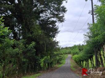 EN VENTA Finca Ganadera de 219 hectáreas en Pococí