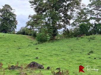EN VENTA Finca Ganadera de 219 hectáreas en Pococí