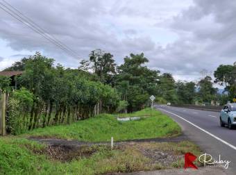 EN VENTA Finca Ganadera de 219 hectáreas en Pococí