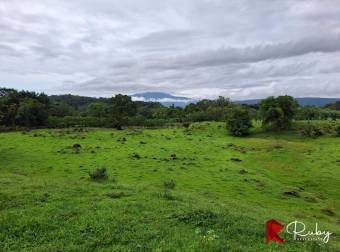 EN VENTA Finca Ganadera de 219 hectáreas en Pococí