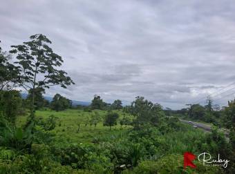 EN VENTA Finca Ganadera de 219 hectáreas en Pococí