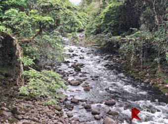 EN VENTA Finca Ganadera de 219 hectáreas en Pococí