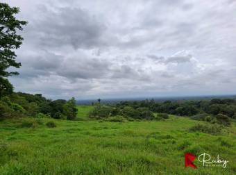 EN VENTA Finca Ganadera de 219 hectáreas en Pococí