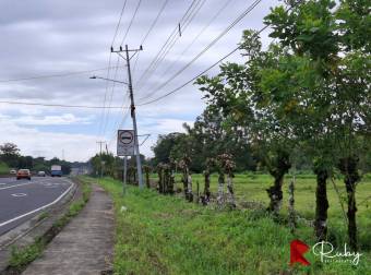 EN VENTA Finca Ganadera de 219 hectáreas en Pococí