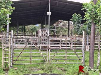 EN VENTA Finca Ganadera de 219 hectáreas en Pococí