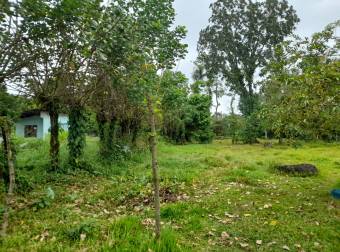 EN VENTA Terreno de 3675m2 La Selva de Guacimo EN VENTA Terreno de 3675m2 La Selva de Guacimo