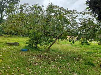 EN VENTA Terreno de 3675m2 La Selva de Guacimo EN VENTA Terreno de 3675m2 La Selva de Guacimo