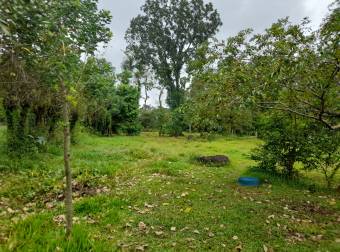 EN VENTA Terreno de 3675m2 La Selva de Guacimo EN VENTA Terreno de 3675m2 La Selva de Guacimo