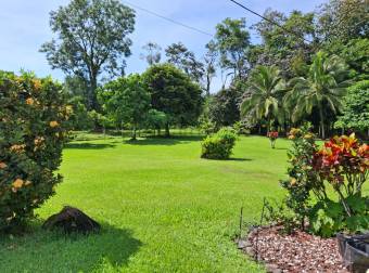 En Venta este precioso rincón escondido en la Selva de Guácimo. 