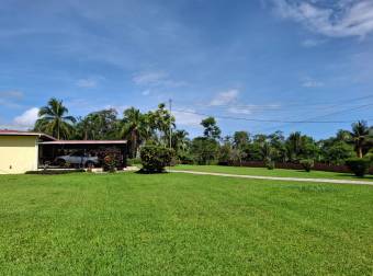 En Venta este precioso rincón escondido en la Selva de Guácimo. 