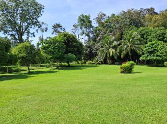 En Venta este precioso rincón escondido en la Selva de Guácimo. 