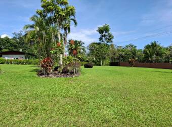 En Venta este precioso rincón escondido en la Selva de Guácimo. 