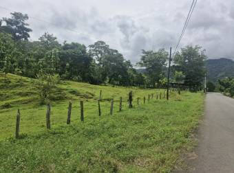 PUNTARENAS PARRITA RENTO CASA EN  FINCA DE 489.777 m2